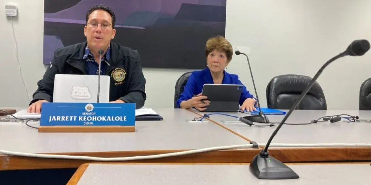 Hawaii-Lawmakers-Push-AI-Chatbot-Protections-After-Disturbing-Case