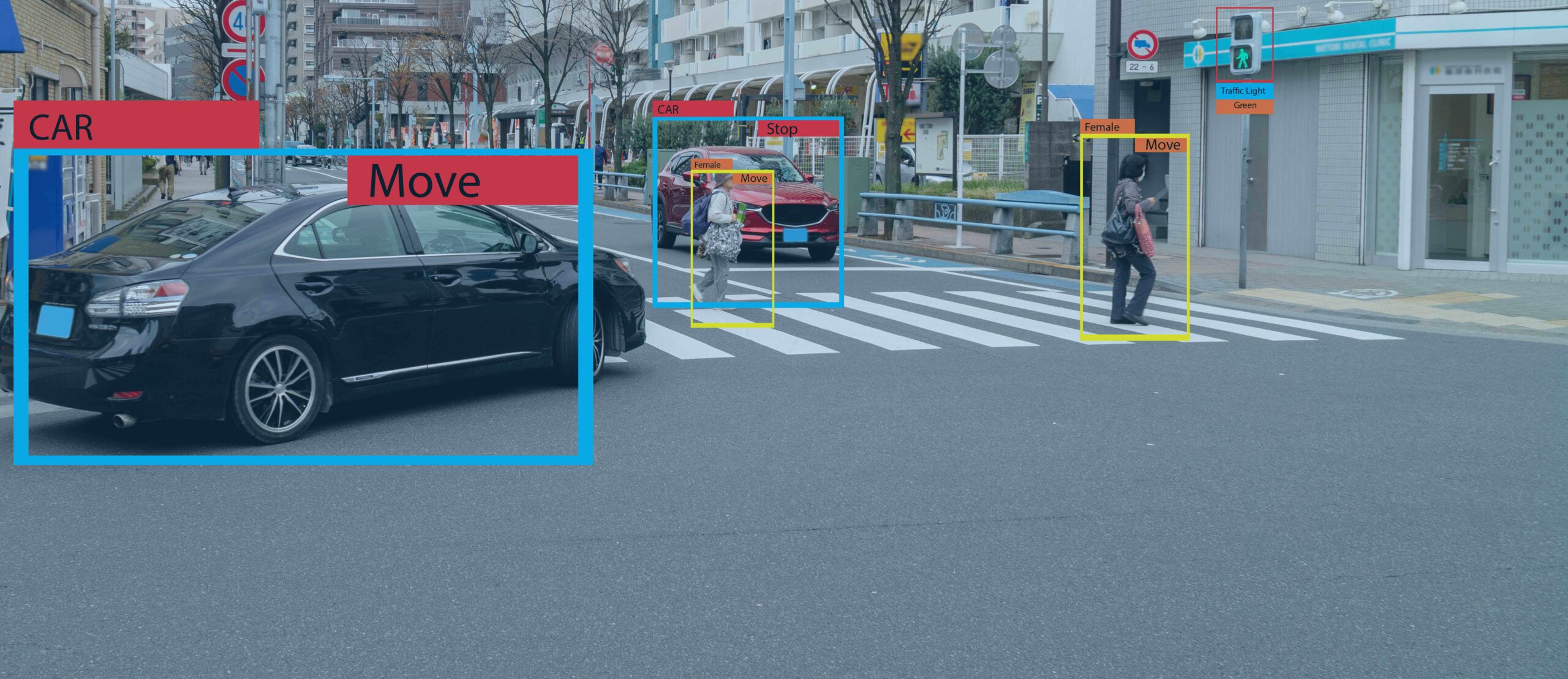 What Image Labeling Services Do and How They Work