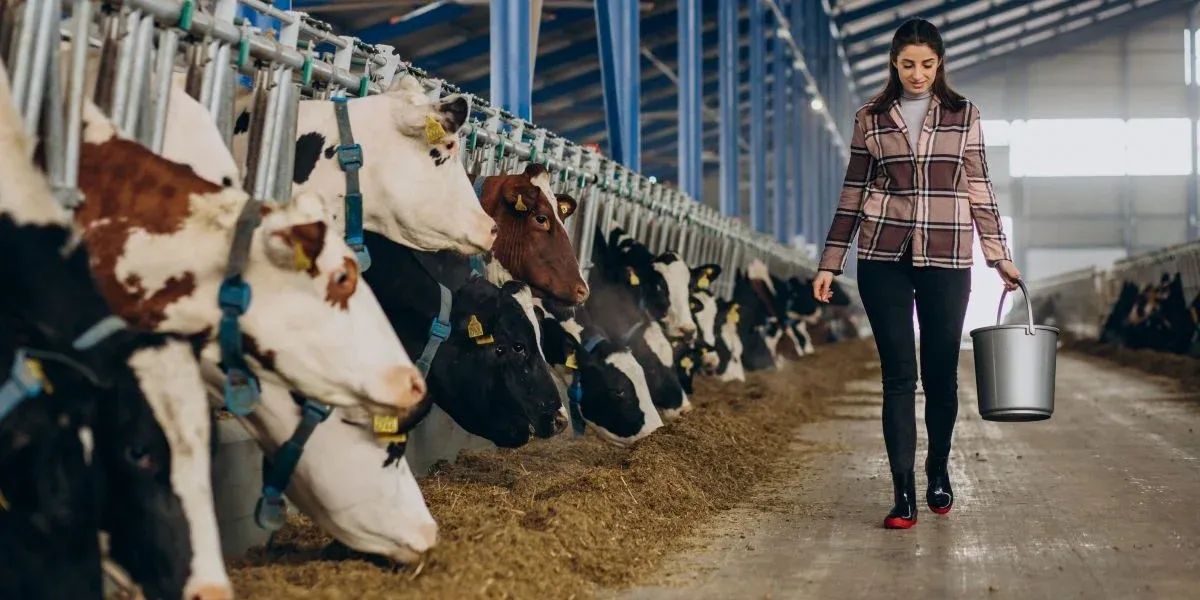 How Predictive Analytics in Cattle Counting Reduces Loss and Boosts ROI?