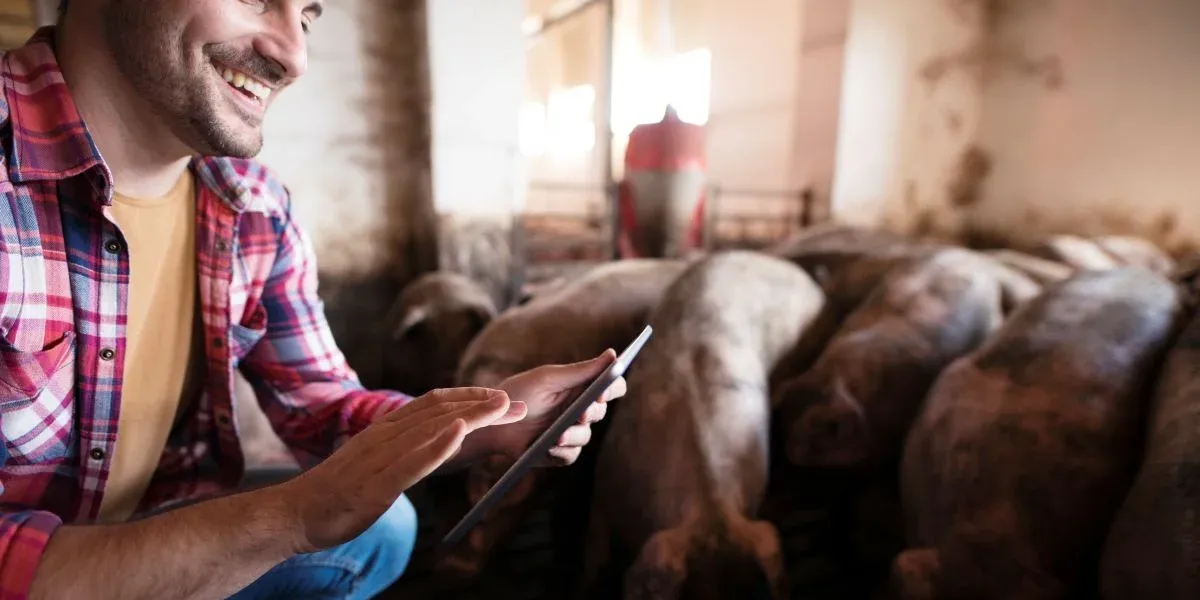 Future of Livestock Management: AI Cattle Counting &amp; Smart Farming