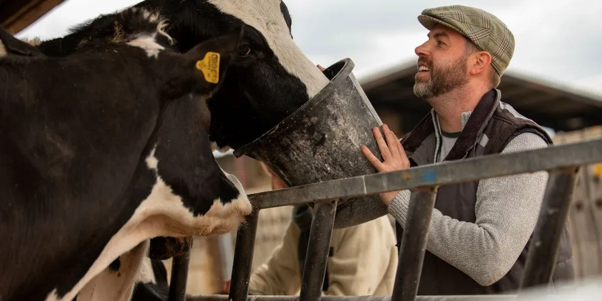 How AI is Revolutionizing Cattle Counting for Large Ranch Operations?