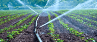 Precision-Agriculture