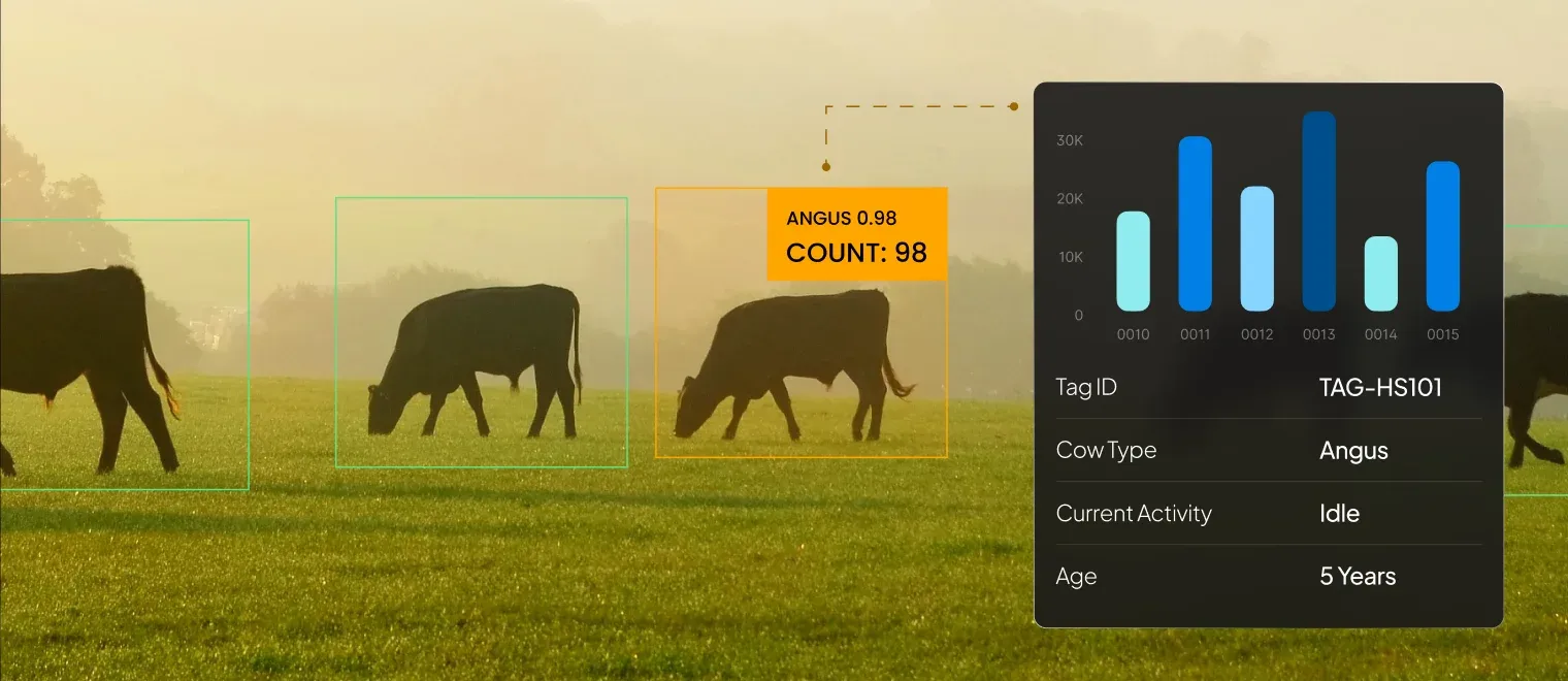 Automated Cattle Counting with AI-Powered Animal Detection Solution.