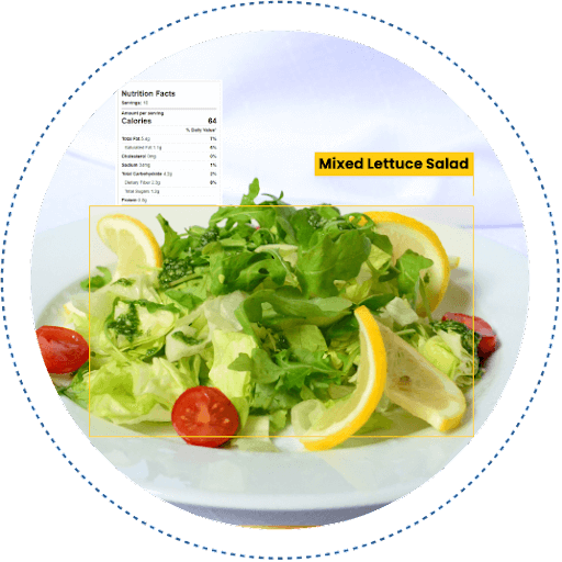 Opsis case study- calorie tracking solution 
