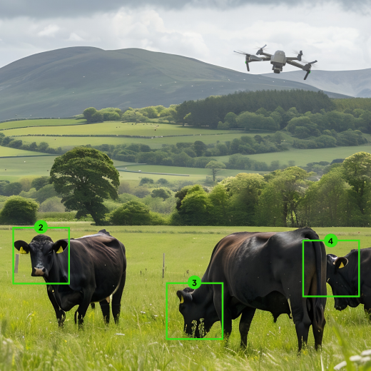 Drone-Based Pasture Audits