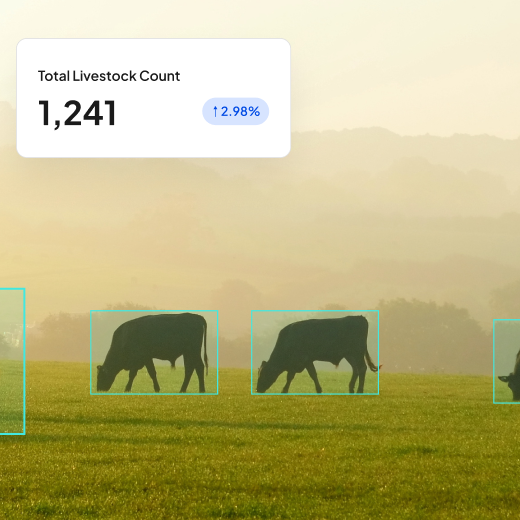 Gate & Chute Counting