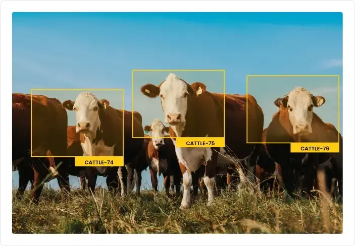 Trusted Cattle Counting at Every Critical Movement Point