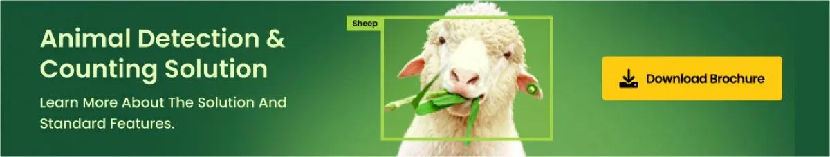 Why Livestock Farmers Choose AI Cattle Counting Solutions?