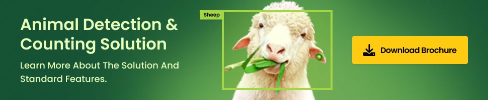 Animal Monitoring Insights - Discover Key Features, Use Cases, and Future Trends