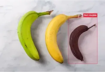 Food-Waste-Reduction-