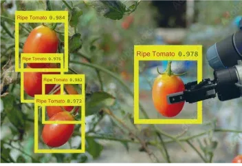 Object-Counting-Classification