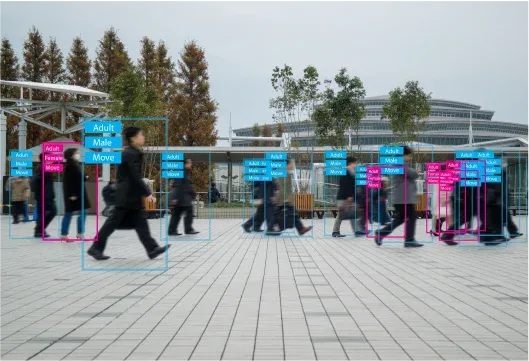 Person-Attribute-Detection-