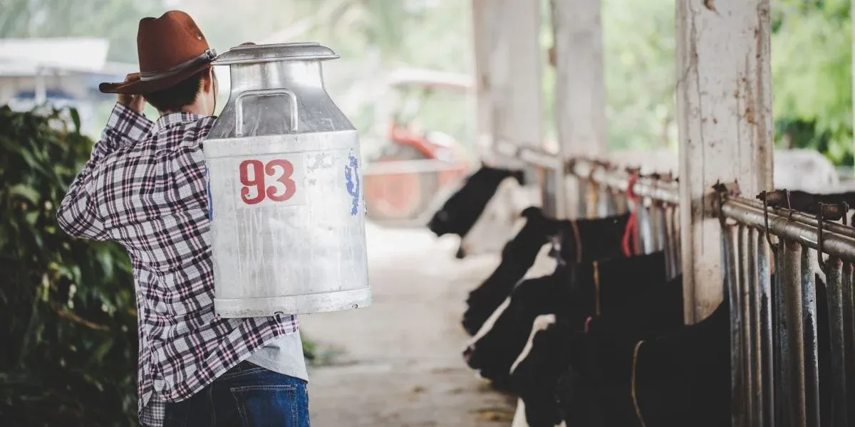 ROI of Automated Cattle Counting: Labor & Feed Optimization with AI