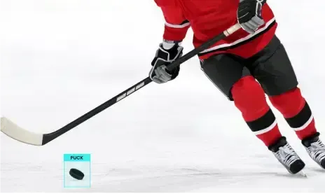 https://aiml-staging.folio3.site/ice-hockey