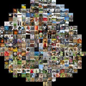 Datasets For ML Image Classification And How To Create Them