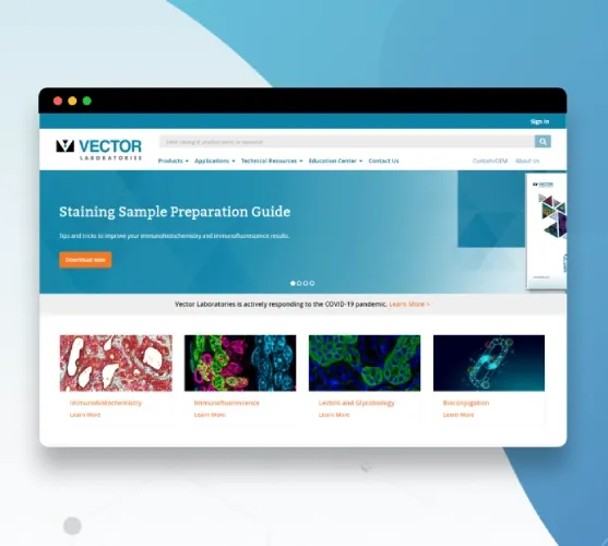 Vector Labs