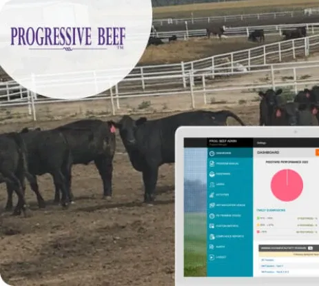 Progressive Beef