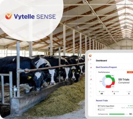 Vytelle Sense