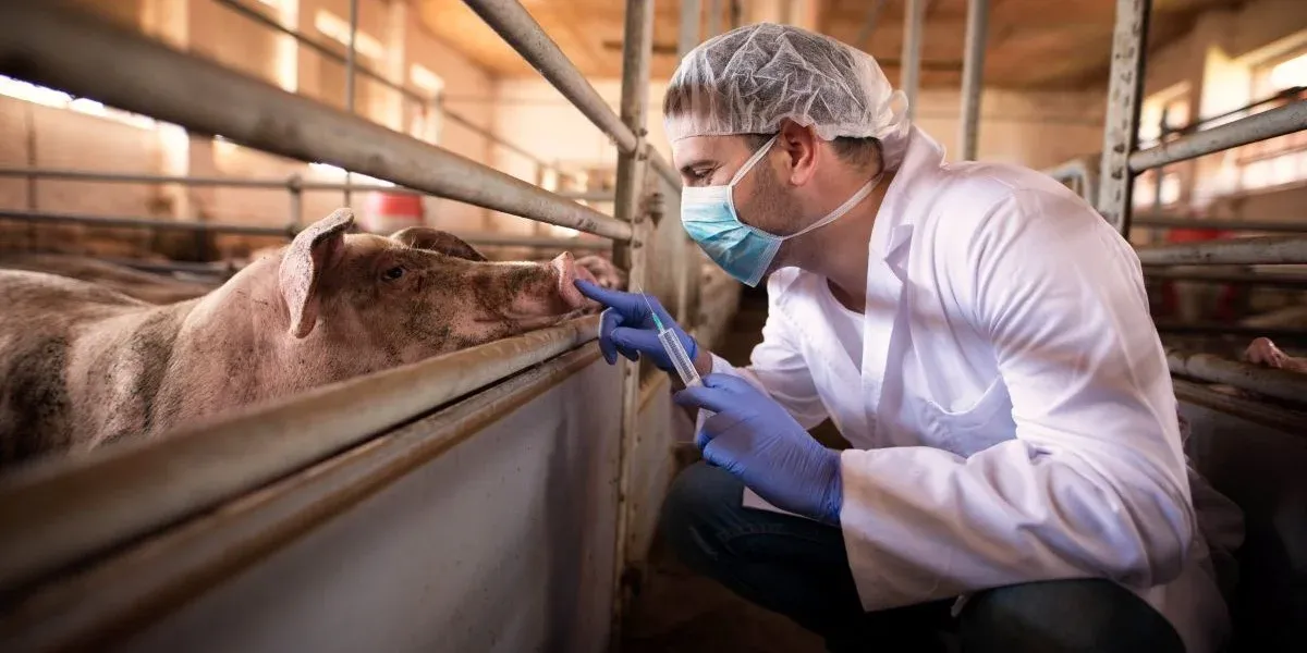 How Computer Vision Monitors Animal Health and Detects Diseases Early?